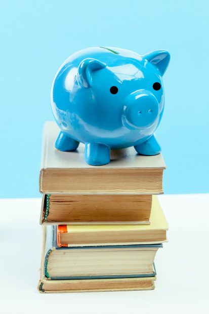 Blue piggy bank or money box